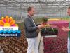 Bloemencorso'sAflevering 2