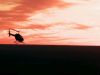 Chopper CopsLost in the Woods