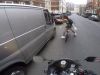 Dashcam Disasters26-2-2025