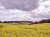 Droomhuis op het PlattelandHerefordshire