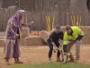 Het Blok Australi�Back of House Week - Part 3