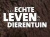 Het Echte Leven in de Dierentuin - 26-3-2023
