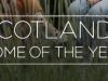 Home of the Year ScotlandCentral & Tayside
