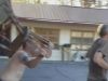 Hufters op Beeld: Bizarre burenFierce Feuds