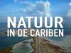 Natuur in de Cariben - Sint Eustatius