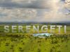 Serengeti - 4-2-2023